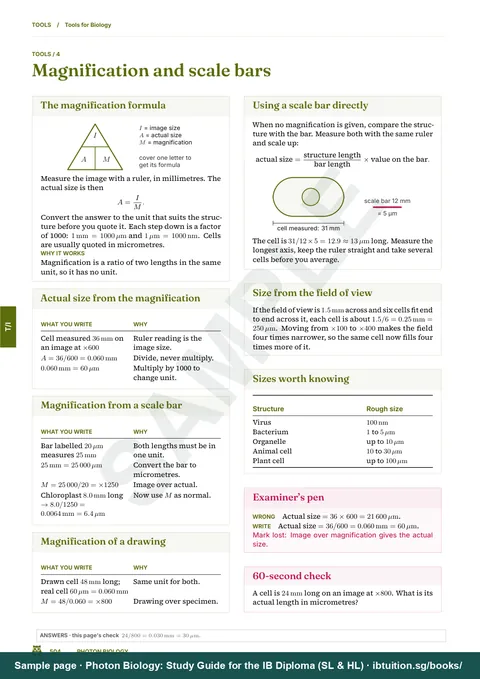Sample page from Photon Biology: IB Biology SL & HL: Tools: magnification and scale bars, from measurement to a reported result