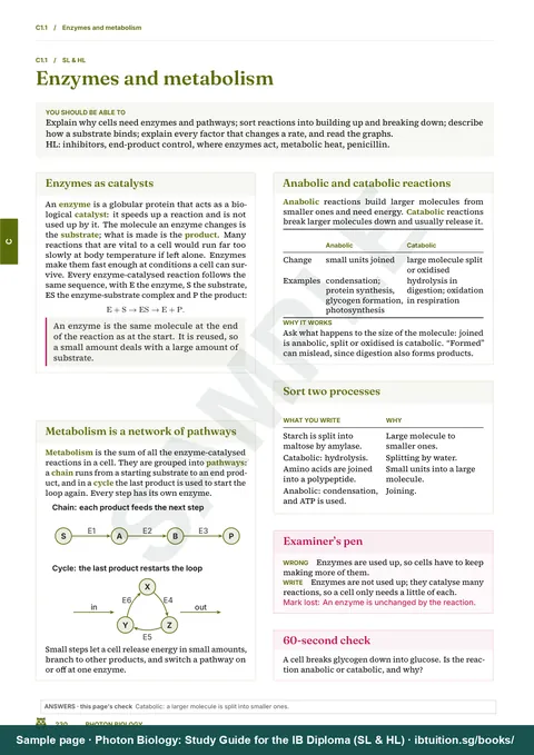 Sample page from Photon Biology: IB Biology SL & HL: Topic C1.1 opener: Enzymes and metabolism
