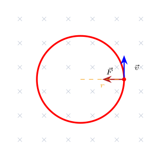 Charged particle moving in a circle inside a uniform magnetic field directed into the page, with crosses indicating field direction